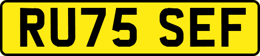 RU75SEF