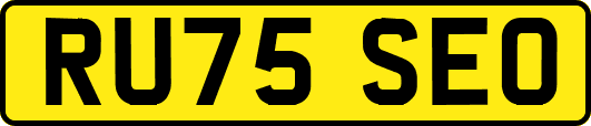 RU75SEO