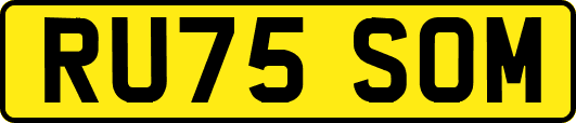 RU75SOM