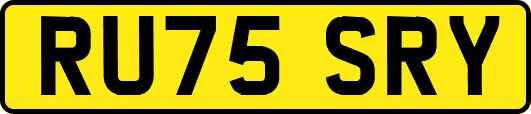 RU75SRY