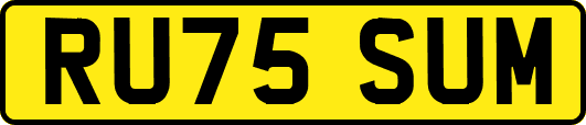 RU75SUM