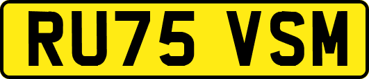 RU75VSM