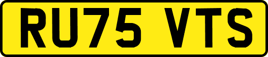 RU75VTS