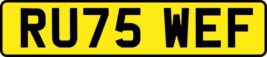 RU75WEF