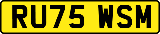 RU75WSM