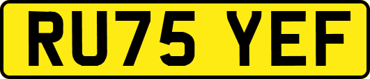 RU75YEF