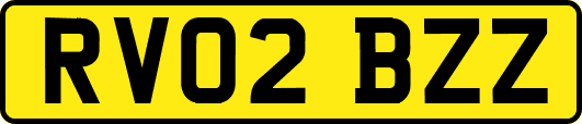 RV02BZZ