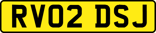 RV02DSJ