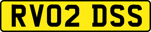 RV02DSS