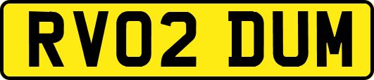 RV02DUM
