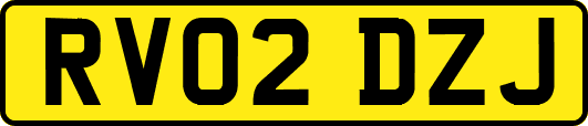 RV02DZJ