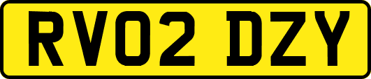 RV02DZY