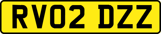 RV02DZZ