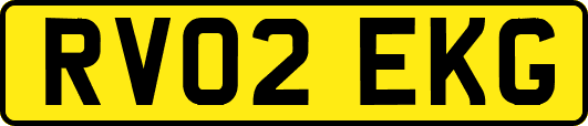 RV02EKG