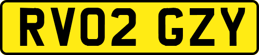 RV02GZY