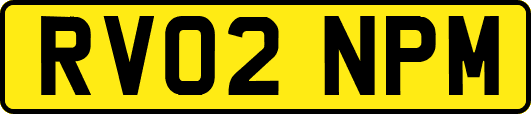 RV02NPM