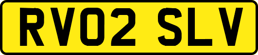 RV02SLV