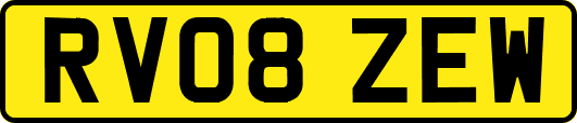 RV08ZEW