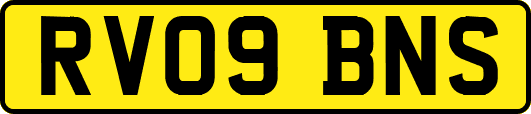 RV09BNS