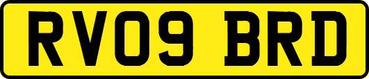 RV09BRD