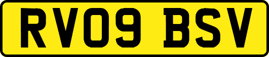 RV09BSV