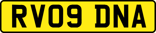 RV09DNA