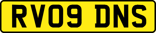 RV09DNS