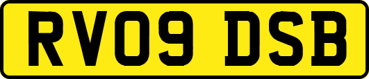RV09DSB
