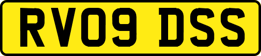 RV09DSS