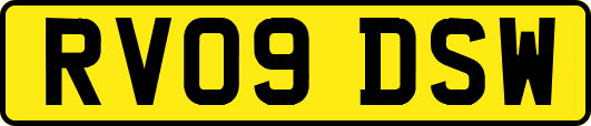 RV09DSW
