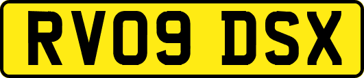 RV09DSX