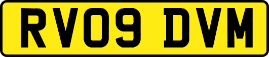 RV09DVM