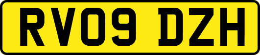 RV09DZH