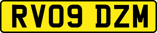 RV09DZM