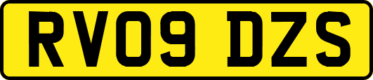 RV09DZS