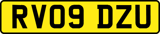 RV09DZU