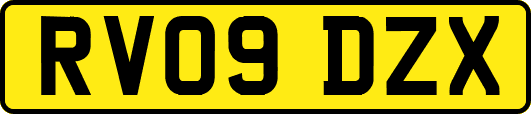 RV09DZX