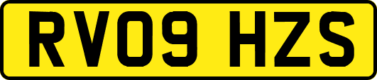 RV09HZS