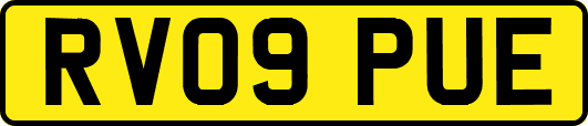 RV09PUE