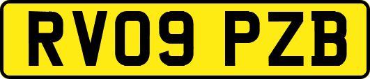 RV09PZB