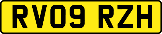 RV09RZH