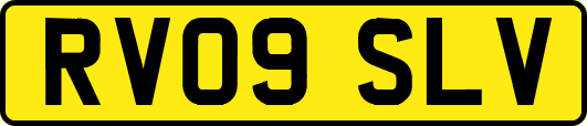 RV09SLV