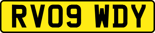 RV09WDY