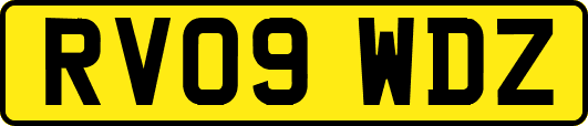 RV09WDZ
