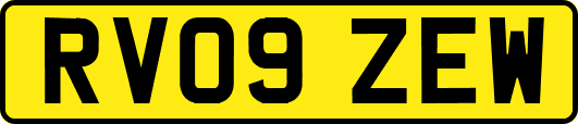 RV09ZEW