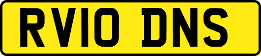 RV10DNS