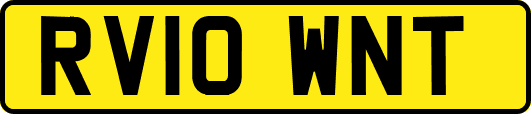 RV10WNT