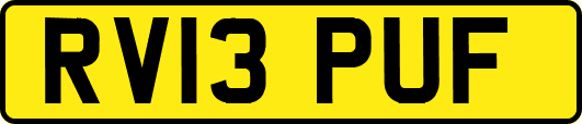 RV13PUF