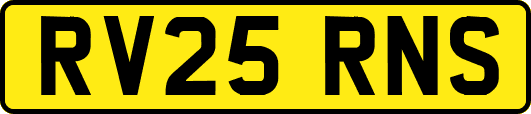 RV25RNS