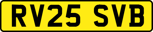 RV25SVB
